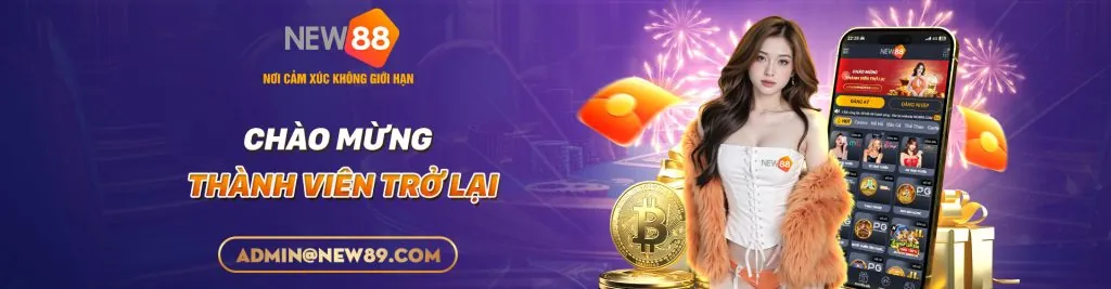 Các nguyên tắc GDPR được 79king78 áp dụng